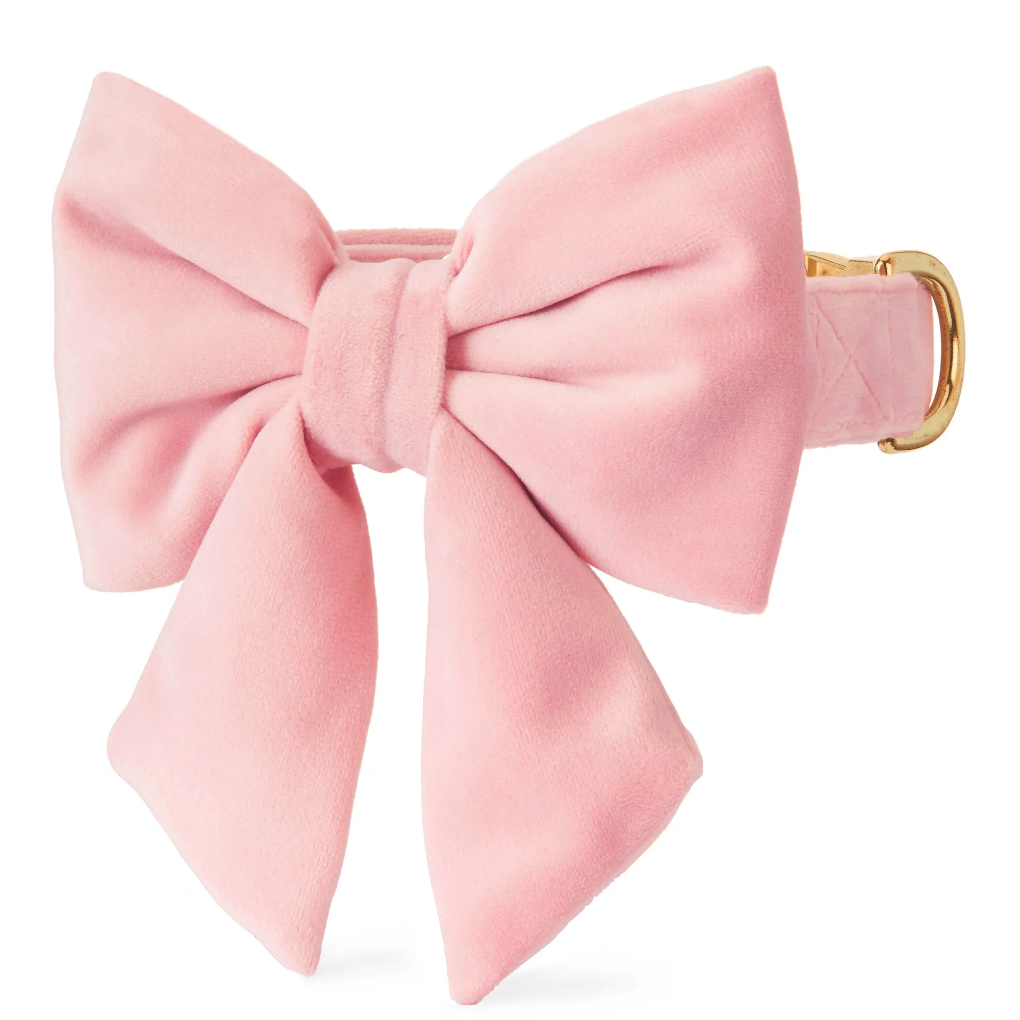 Blush Pink Velvet Lady Bow Collar