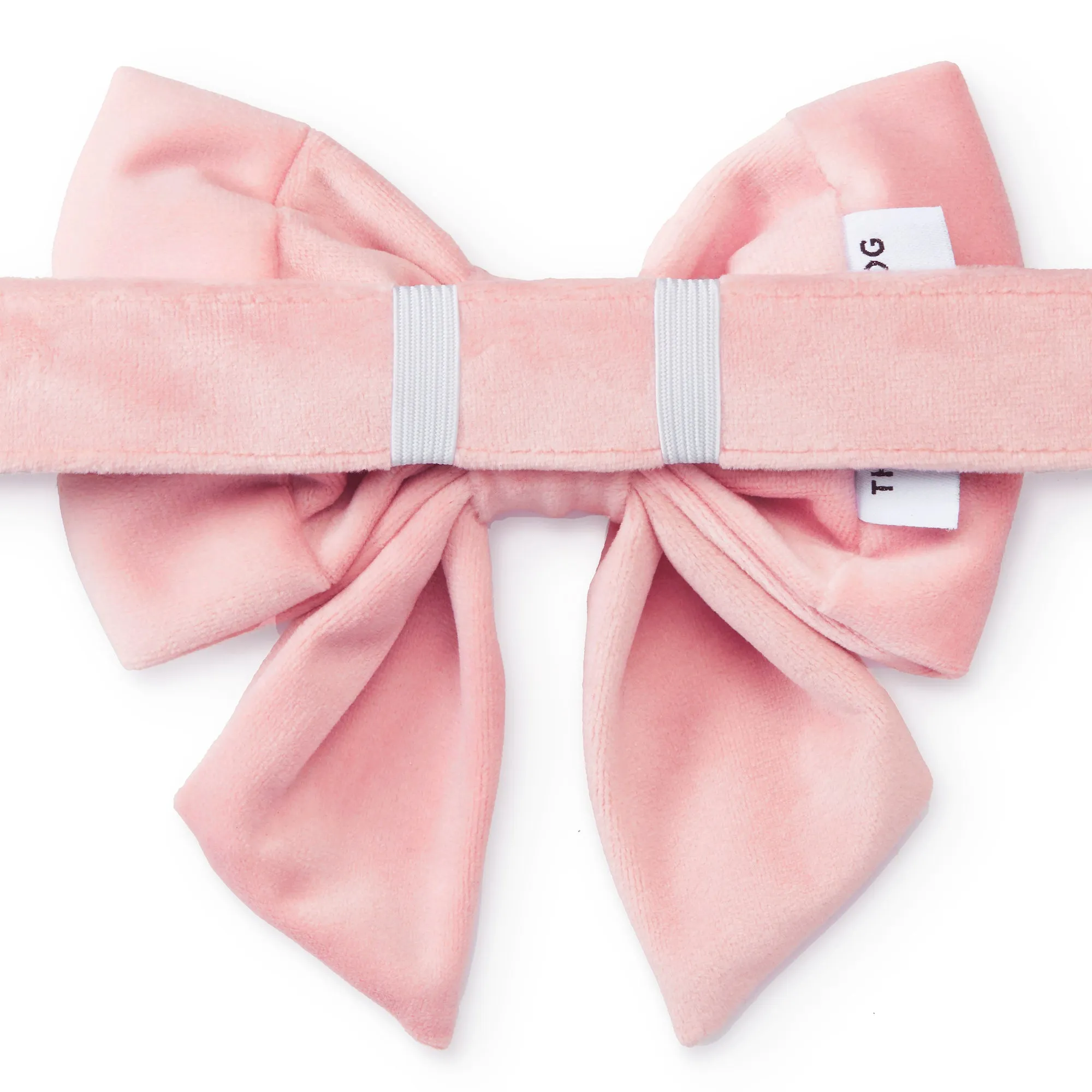 Blush Pink Velvet Lady Bow Collar