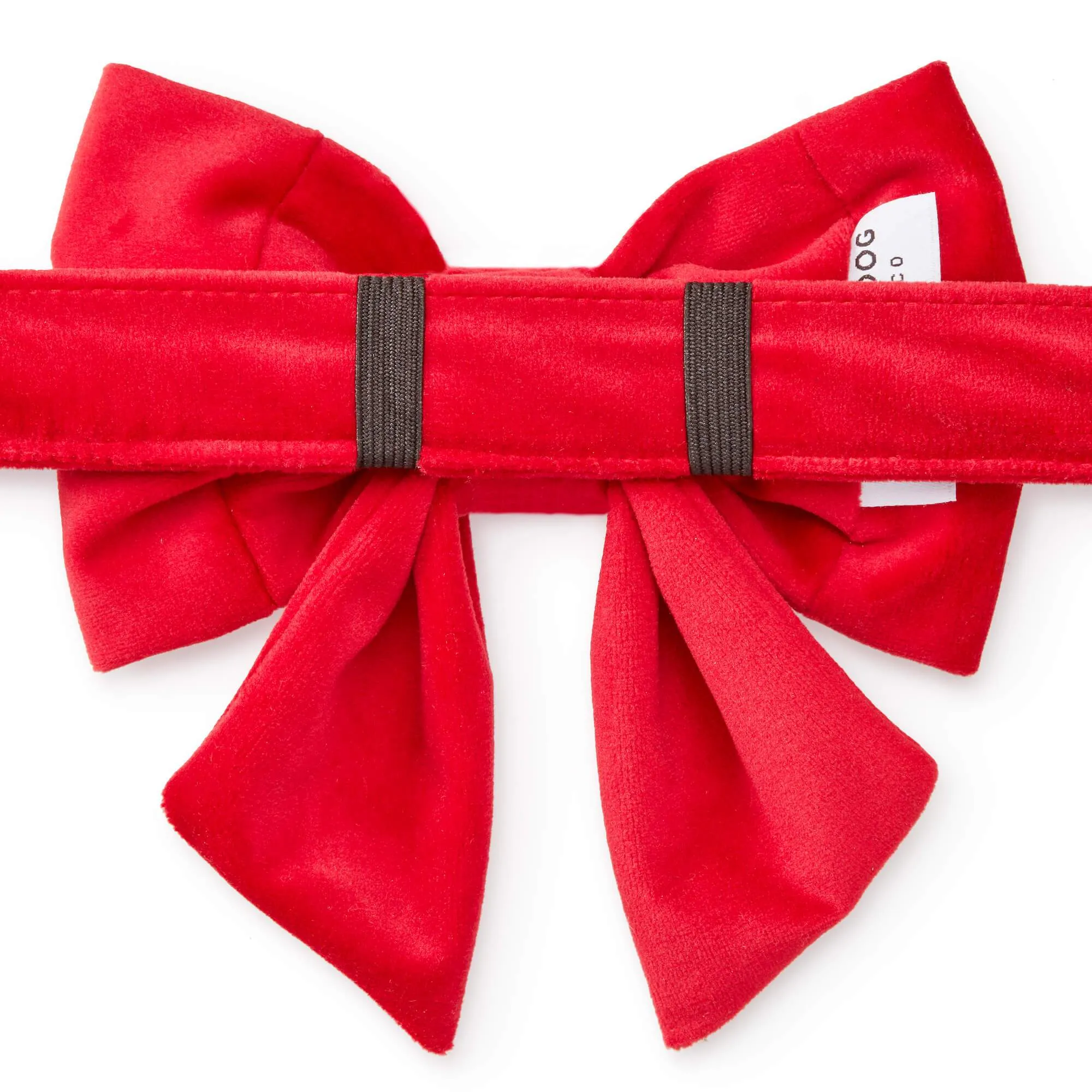 Cranberry Velvet Lady Bow Collar