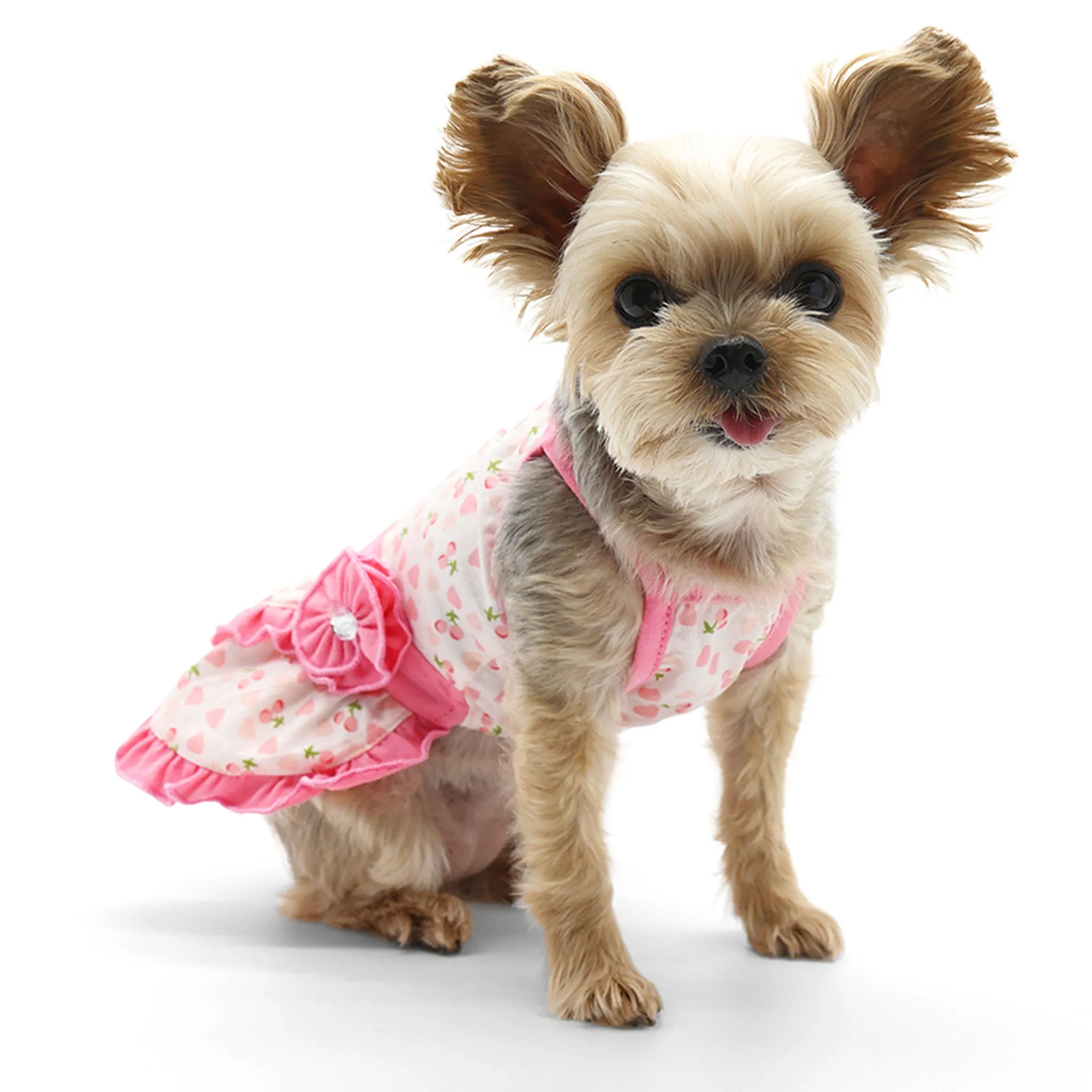 Dogo Pet Fashions Cherish Heart Dog Dress