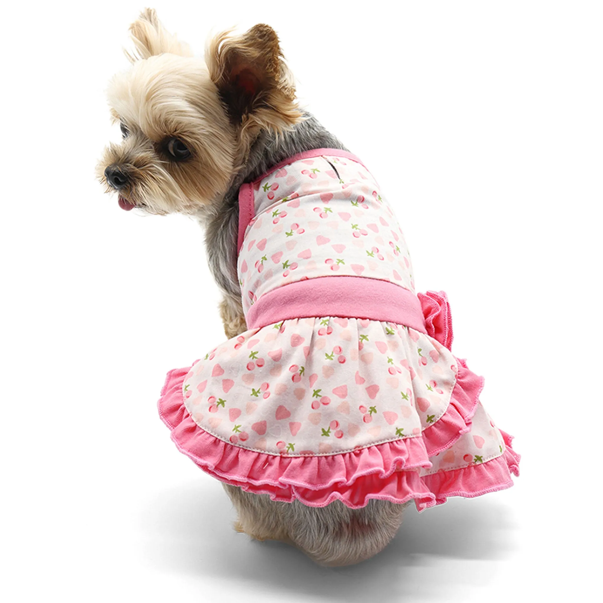 Dogo Pet Fashions Cherish Heart Dog Dress