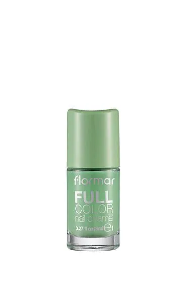 Full Color Ultra High Pigmented & Glossy Finish Nail Polish