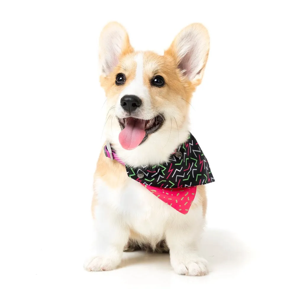 FuzzYard Juicy Pet Bandana (Medium/Large)