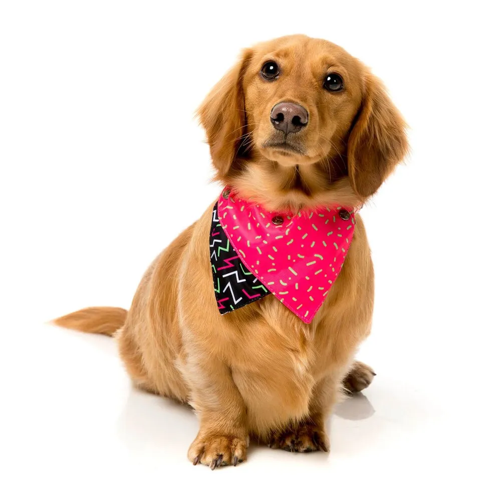 FuzzYard Juicy Pet Bandana (Medium/Large)