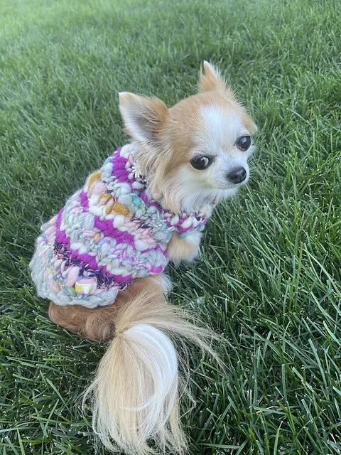 Kaleidoscope Pet Sweater Pattern