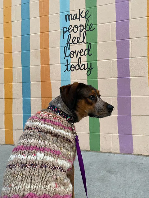 Kaleidoscope Pet Sweater Pattern