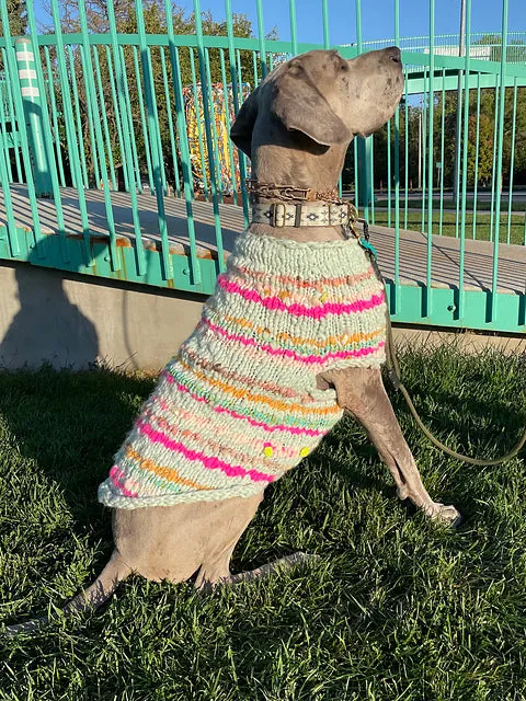 Kaleidoscope Pet Sweater Pattern