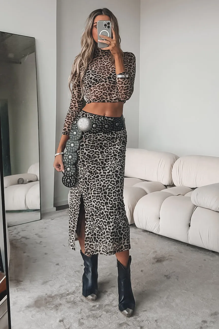 Wild About My Outfit Mesh Leopard Long Sleeve Top